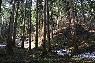 木材産業